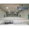 Icemedal IMB10 10tons آلة صنع قوالب الثلج النحت آلة صنع قوالب الثلج للأسماك