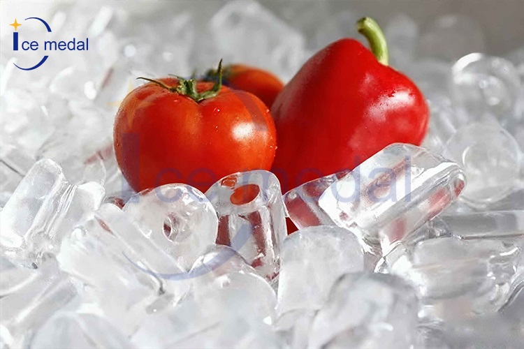 أنبوب الثلج لتجهيز الأغذية 