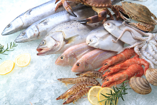 Flake Ice للمنتجات المائية