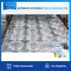 خط إنتاج مكعبات الثلج الأوتوماتيكي الكامل مع نظام التعبئة لمصنع الثلج