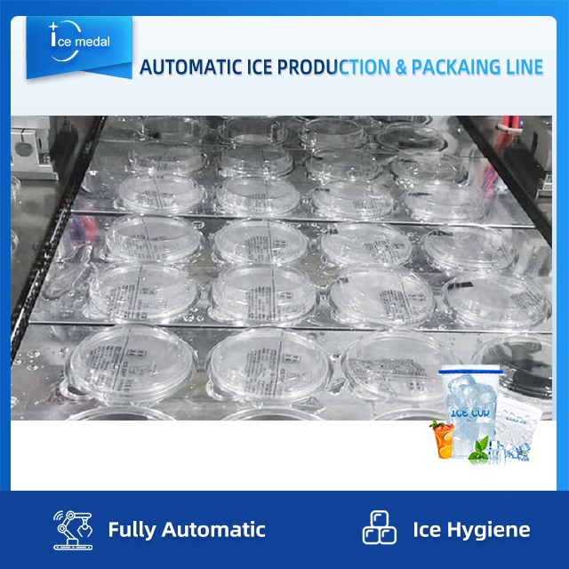 خط إنتاج مكعبات الثلج الأوتوماتيكي الكامل مع نظام التعبئة لمصنع الثلج