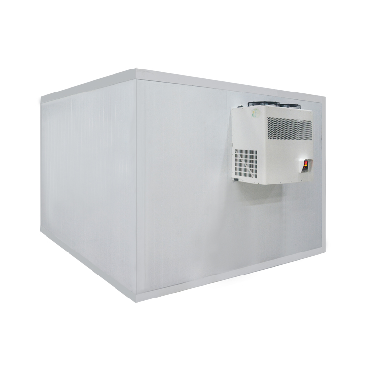 Icemedal مخصصة سهلة التفكيك المجمدات والغرف الباردة غرفة التجميد وحدة التبريد غرفة التبريد والتخزين البارد