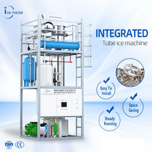 آلة صنع أنابيب كبيرة مخصصة من 10-30 طن من الفلبين لمصنع الجليد