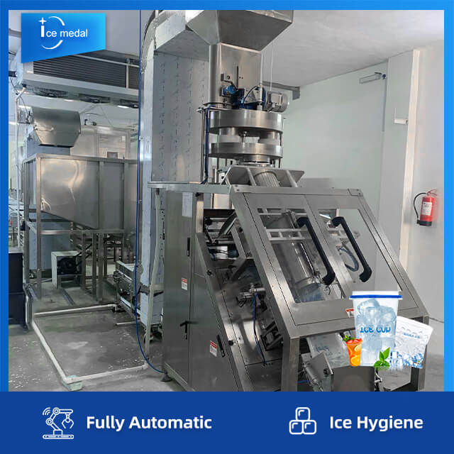 خط إنتاج مكعبات الثلج الأوتوماتيكي الكامل مع نظام التعبئة لمصنع الثلج
